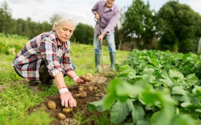 Aposentadoria por Idade Rural. Como funciona esse benefício?